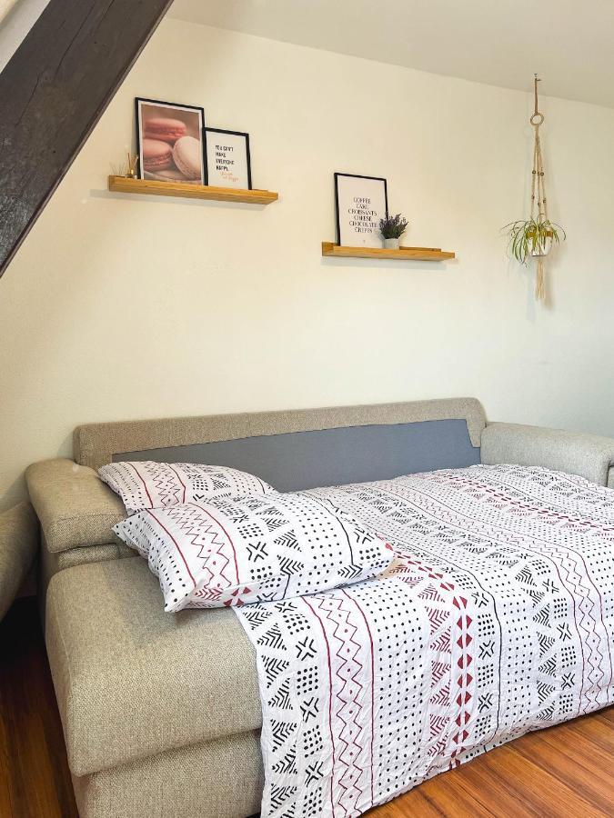 Appart'Hotel Le Dornach - Proche Gare Et Autoroute Mulhouse Eksteriør bilde