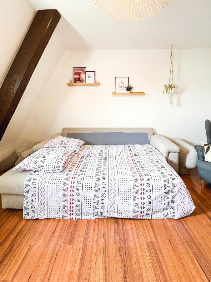 Appart'Hotel Le Dornach - Proche Gare Et Autoroute Mulhouse Eksteriør bilde