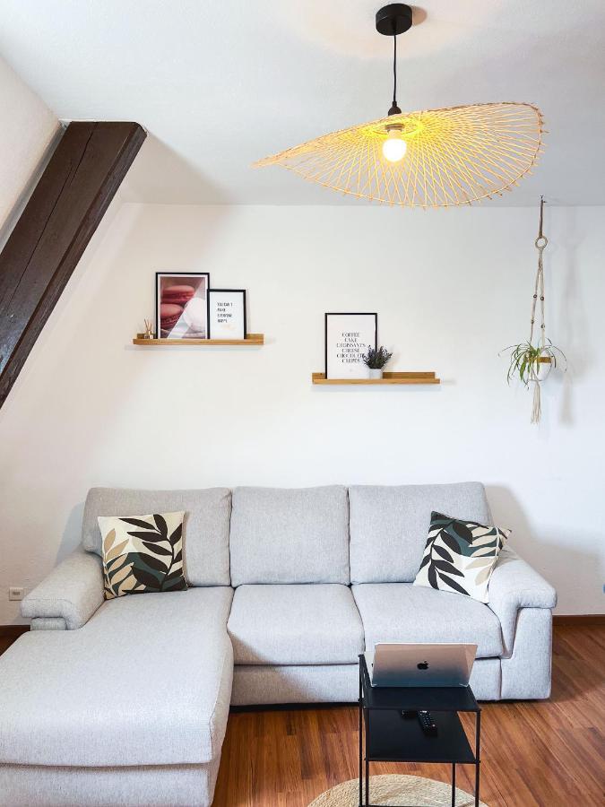 Appart'Hotel Le Dornach - Proche Gare Et Autoroute Mulhouse Eksteriør bilde