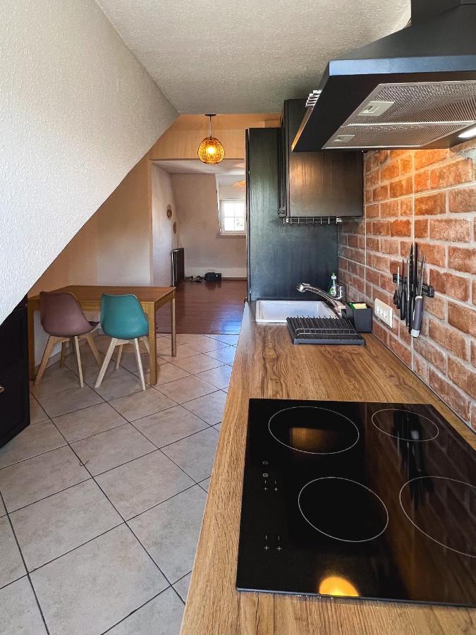 Appart'Hotel Le Dornach - Proche Gare Et Autoroute Mulhouse Eksteriør bilde